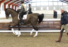 Ridtränares kommunikation under privatlektioner i dressyr: En samtalsanalytisk studie