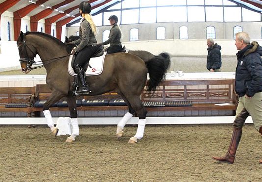 Ridtränares kommunikation under privatlektioner i dressyr: En samtalsanalytisk studie