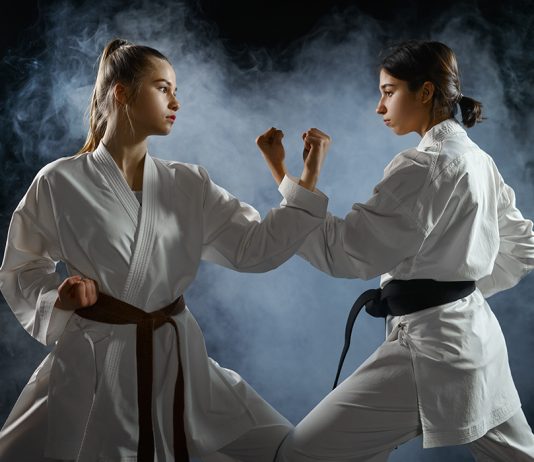 Sport for adults: Using frame factor theory to investigate the significance of local sports instructors for a new Sport for All programme in Sweden