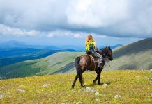 Marketing the Perfect Ride: A Study of the Marketing of Horse Tourism on the Internet