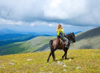 Marketing the Perfect Ride: A Study of the Marketing of Horse Tourism on the Internet