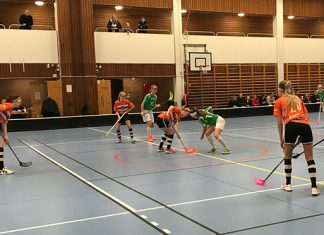 Student-athletes’ beliefs about athletic ability: A longitudinal and mixed method gender study